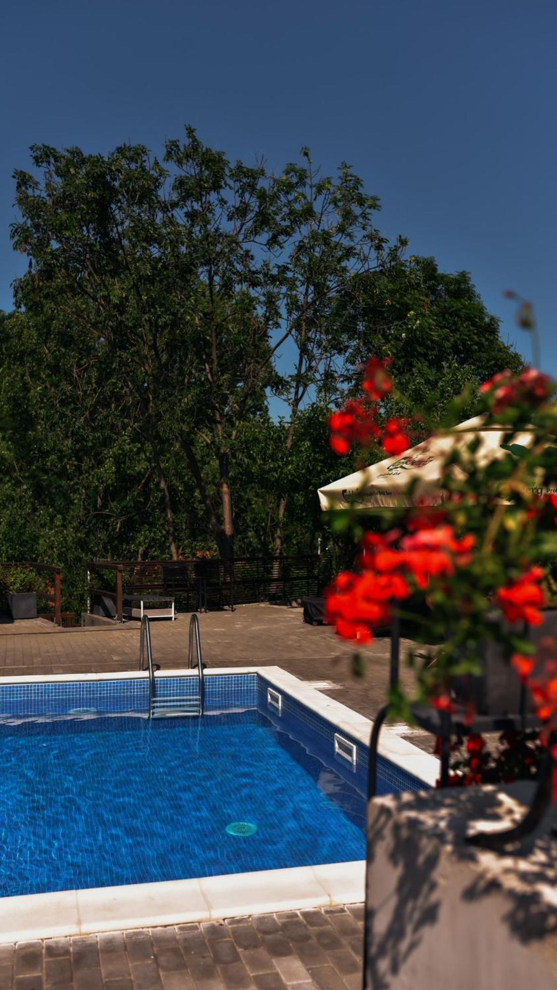 Pensiunea Casa Dacilor Podeni Экстерьер фото