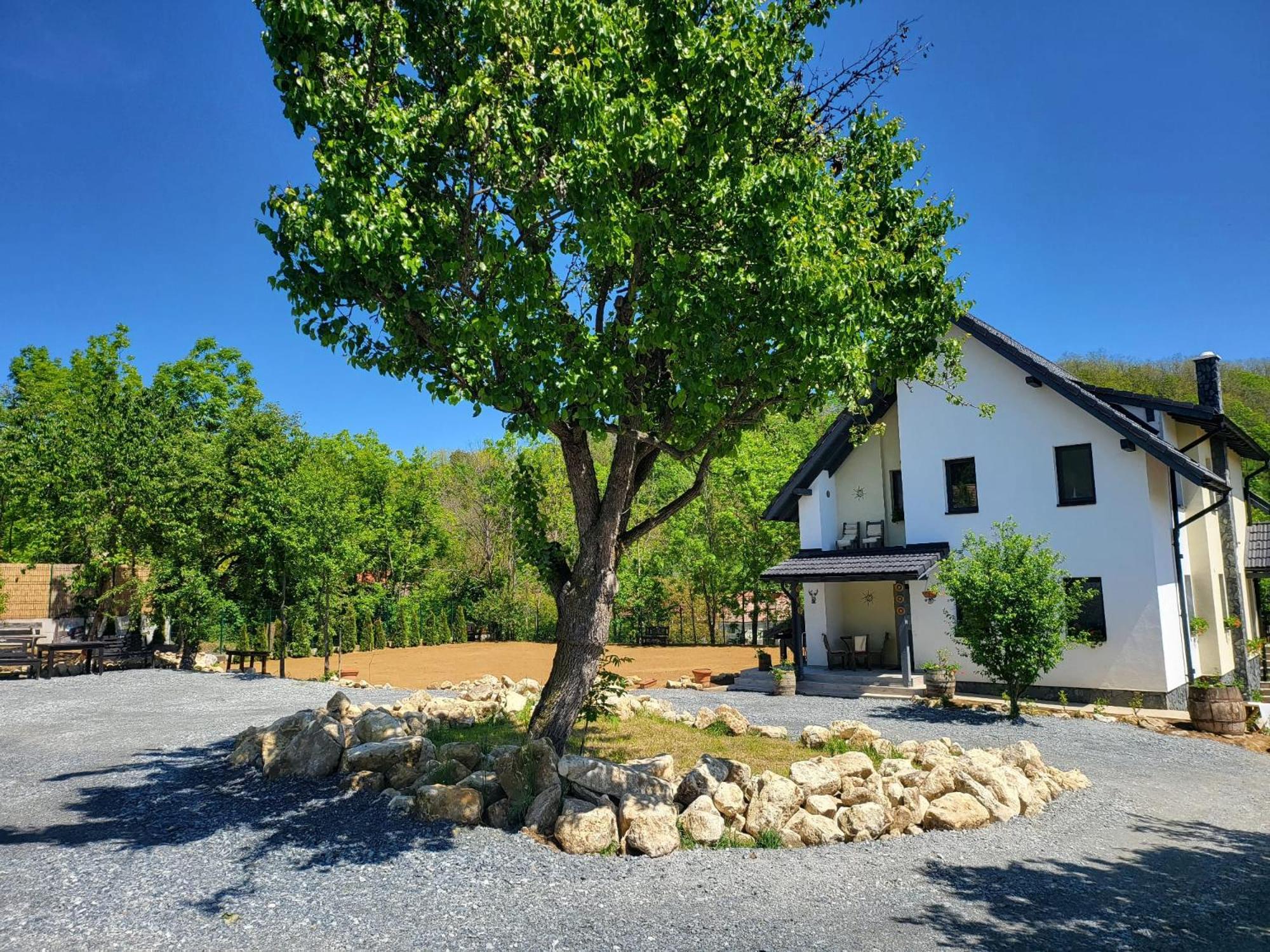 Pensiunea Casa Dacilor Podeni Экстерьер фото